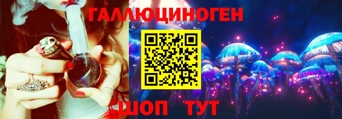 Новый Уренгой  Псилоцибиновые грибы Cubensis  как найти закладки  Вход с VPN 